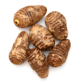 Arrowroot Arrowroot