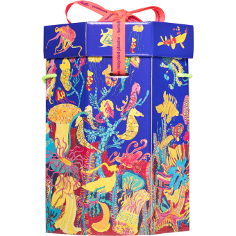 Side Turtletastic Gift Set side turtletastic gift set