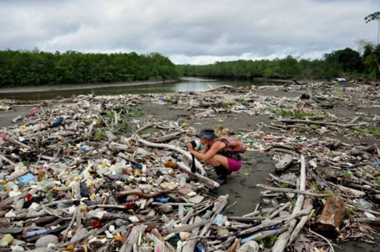 Project Planet Clean Up Project Planet Clean Up