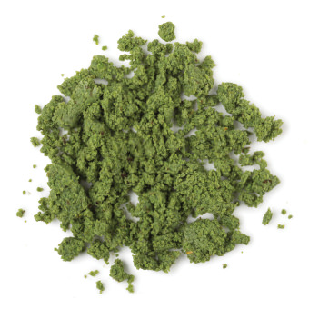 洗顔料 スクラブ ラッシュ公式サイト lush fresh handmade cosmetics