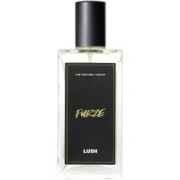 Lush 100ml Furze Perfume A bottle of Furze Lush perfume. The perfume is almost clear in colour and contained in a rectangle bottle featuring a black lid and label.