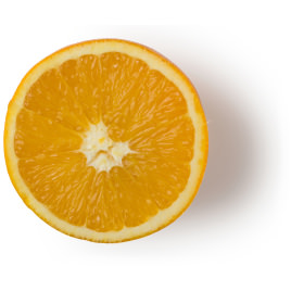 Fresh Orange Juice Fresh Orange Juice