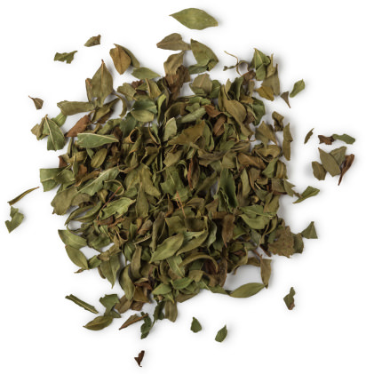 brun hair treatments henna hair dyes lush singapore