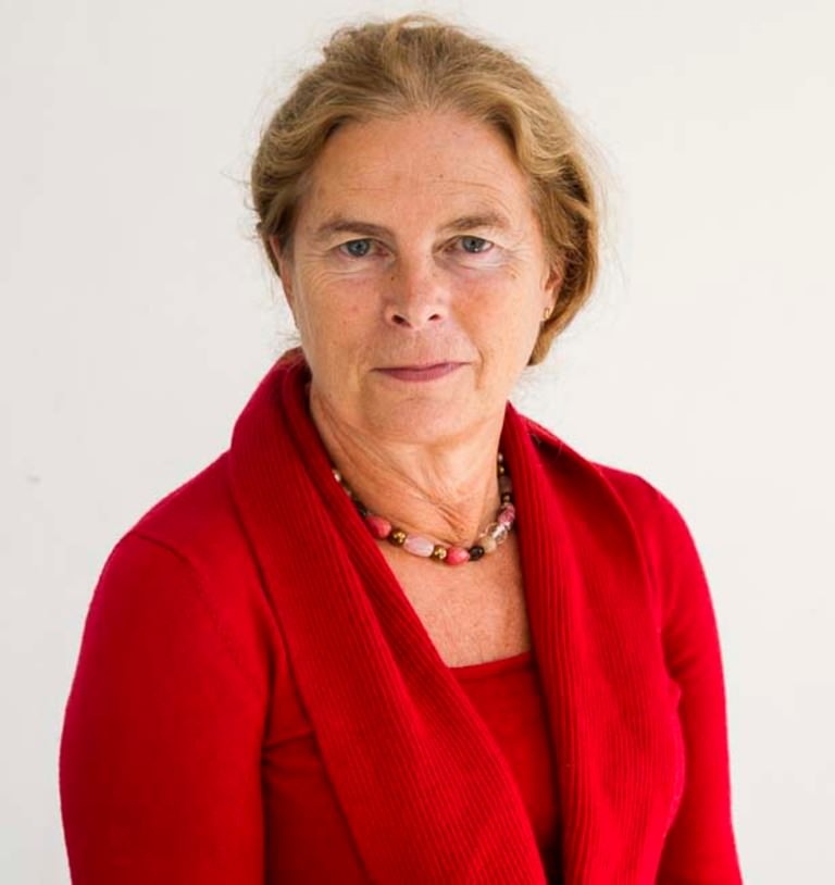 Professor Knudsen