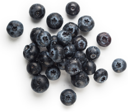 Blueberries Blueberries