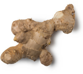 Gingerbread man