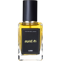 Contents: Lush Advent Calendar 2020