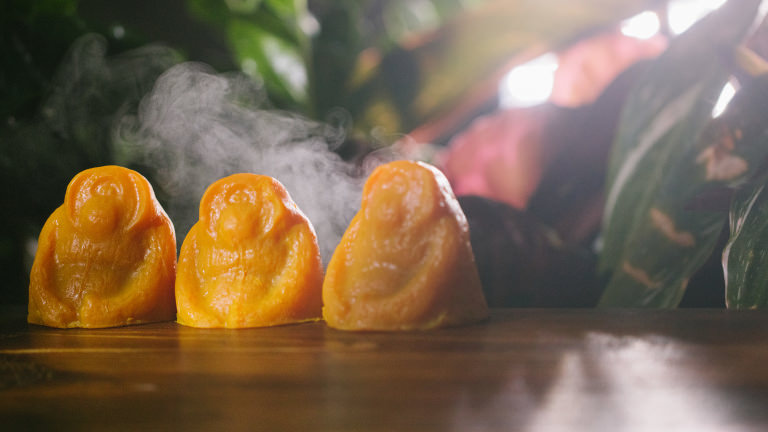 Sos Orangutan Soap Sos Orangutan Soap raising money and awareness for the loss of orangutan habitat