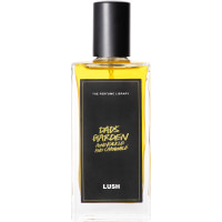 Lush 100ml Dad's Garden Honeysuckle and Chamomile Perfume A bottle of Dad's Garden Honeysuckle and Chamomile Lush perfume. The perfume is golden yellow in colour and contained in a rectangle bottle featuring a black lid and label.