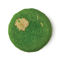 Solid Shampoo Solid Shampoo