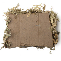 Devil's_soap