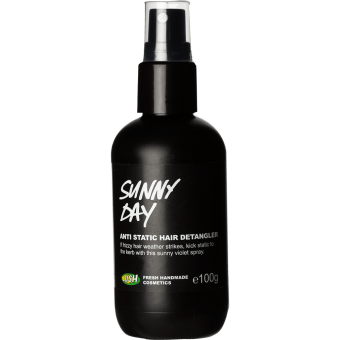 Sunny Day Hair All Haircare Hair Styling How To Feel More