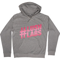 #LUSHLABS Hoodie grey hoodie with #lushlabs printed on it