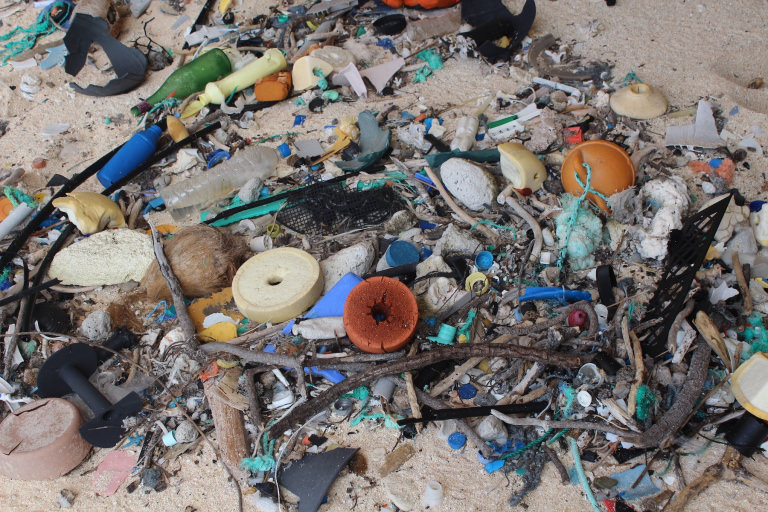 Rubbish on Henderson Island - photographer Jennifer Lavers Rubbish on Henderson Island - photographer Jennifer Lavers
