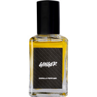 ラッシュ GINGER パフューム ラッシュ GINGER パフューム
