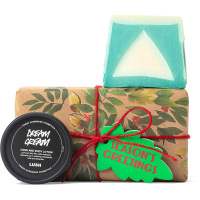 Seasons Greeting Gift brown wrapped box with christmas themed plant pattern and products around it