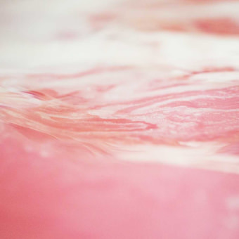 ロージーボムシェル バスボム ラッシュ公式サイト Lush Fresh Handmade Cosmetics ロージーボムシェル バスボム ラッシュ公式サイト Lush Fresh Handmade Cosmetics