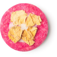 Coconut Rice Cake Shampoo Bar coconut rice cake shampoo bar