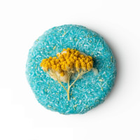 slaphead_lush_labs_shampoo_bar_2018_jp slaphead_lush_labs_shampoo_bar_2018_jp