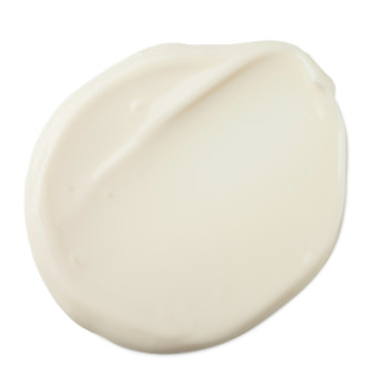 No 動物実験 ラッシュ公式サイト Lush Fresh Handmade Cosmetics No 動物実験 ラッシュ公式サイト Lush Fresh Handmade Cosmetics