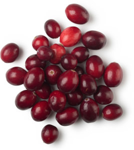Cranberry Infusion Cranberry Infusion