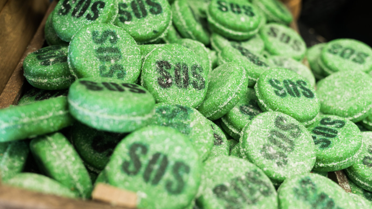LUSH ラッシュ シャンプー ヘアケア シャンプーバー SLS ラウリル硫酸ナトリウム シリコン ノンシリコン インドネシア スマトラ LUSH ラッシュ 限定チャリティ商品 パームフリーの『スマトラ シャンプーバー』