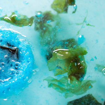 Seaweed Bombshell Bath Bomb Harajuku 2018 Hero seaweed bombshell bath bomb harajuku 2018 hero