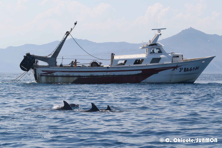 Un grupo de delfines enfrente de un barco pesquero Un grupo de delfines enfrente de un barco pesquero