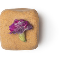 Oaty McOatface Exfoliant Lush Oaty McOatface Exfoliant Lush