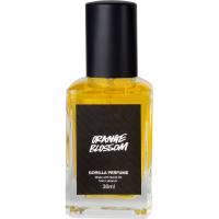 Orange Blossom Lush Labs Perfume orange blossom lush labs perfume