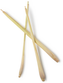 Natrium bicarbonate Natrium bicarbonate