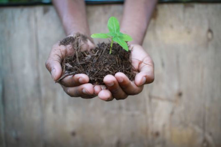 SOIL SOIL
