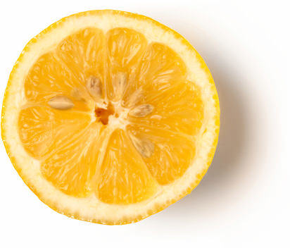 Lemon Lemon