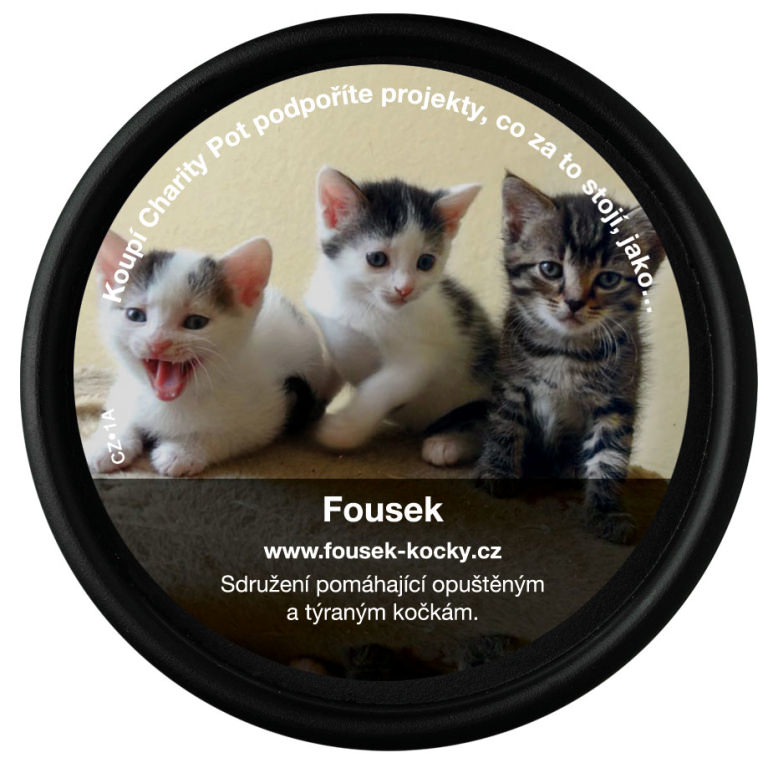 Fousek Fousek