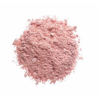 Emotional Brilliance Translucent Powder emotional brilliance translucent powder