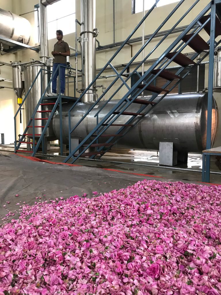 パキスタンで始まったローズアブソリュートの新たな冒険 ラッシュ公式サイト Lush Fresh Handmade Cosmetics