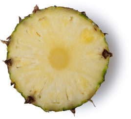 Pineapple Slice of a pineapple