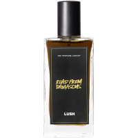 Lush 100ml Road from Damascus Perfume A bottle of Road from Damascus Lush perfume. The perfume is dark brown in colour and contained in a rectangle bottle featuring a black lid and label.