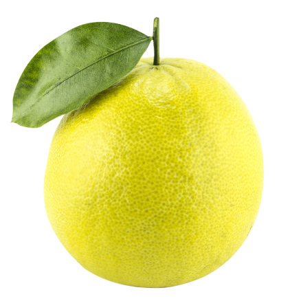 Bergamot Bergamot