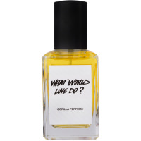 What would love do? Perfume What would love do? 30ml Perfume bottle