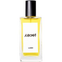 Karma Perfume karma 100ml perfume in glass bottle