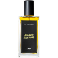 orange blossom eau de toilette