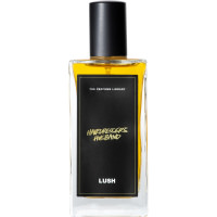 Hairdresser's Husband perfume 100ml perfume en envase de vidrio con etiqueta negra