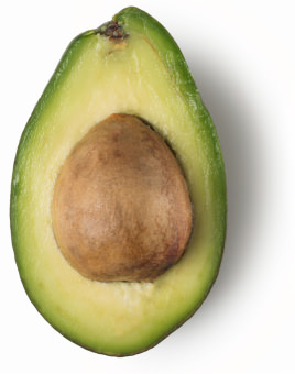 Avocado Butter avocado-butter