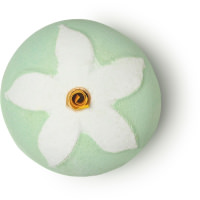 jasmine flower spring products 2018 jasmine flower spring products 2018