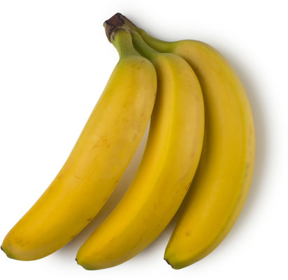 Frische Bio Bananen Frische Bio Bananen