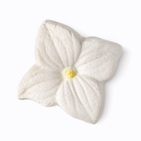 jasmine_cream_bubble_bar jasmine_cream_bubble_bar