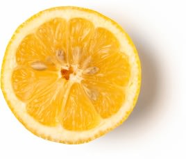 Fresh Lemon Infusion Fresh Lemon Infusion