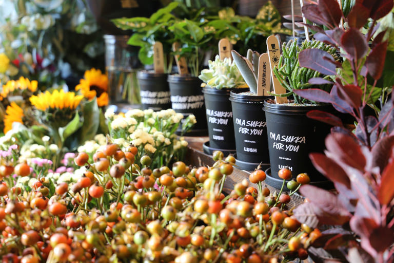 Frische Blumen im Lush Shop Berlin Friedrichstraße Eine Nahaufnahme von frischen Blumen im Lush Shop Friedrichstraße Berlin