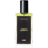 Lush 100ml Princess Cottongrass Perfume A bottle of Princess Cottongrass Lush perfume. The perfume is a light green in colour and contained in a rectangle bottle featuring a black lid and label.